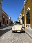 IMG_8156