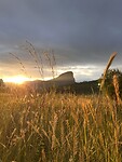 IMG_3994