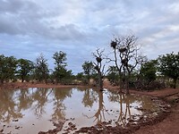 IMG_4037