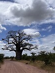 IMG_4116