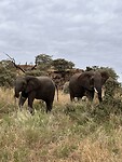 IMG_4056
