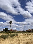 IMG_4142