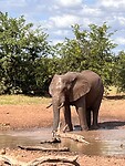 IMG_4160