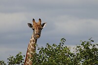 IMG_2626