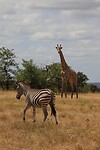 IMG_2648