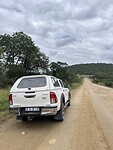 IMG_4239