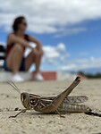IMG_3166