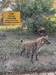 IMG_4407