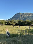 IMG_3239
