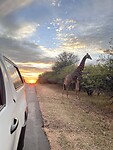 IMG_4430