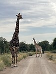 IMG_4479