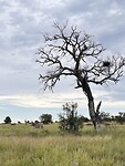 IMG_4447