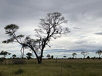 IMG_4494
