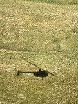 IMG_4572