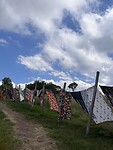 IMG_4676