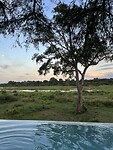 IMG_4700