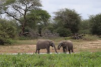 IMG_3338