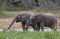 IMG_3343