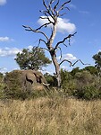 IMG_4735