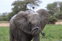IMG_3440