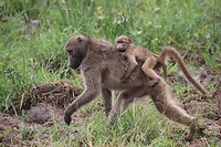 IMG_3373