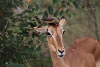 IMG_3612