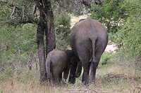 IMG_3615