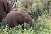 IMG_3681