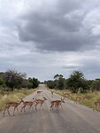 IMG_4769