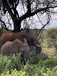 IMG_4775