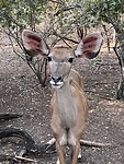 IMG_5093
