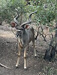 IMG_3400