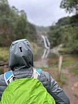 IMG_3426