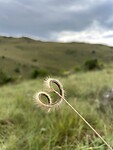 IMG_3470