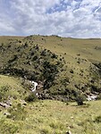 IMG_5211