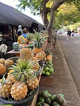IMG_5376