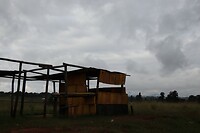 IMG_4445
