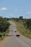 IMG_4495