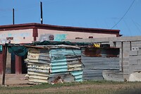 IMG_4498