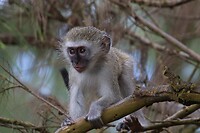 IMG_4753