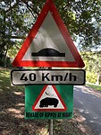 IMG_5462