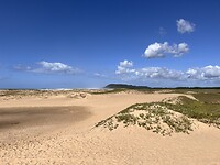 IMG_5465
