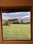 IMG_5484