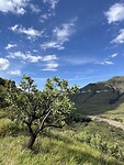 IMG_5557