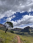 IMG_5573