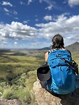 IMG_3584