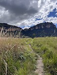 IMG_5591