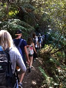 Blue Mountains hike