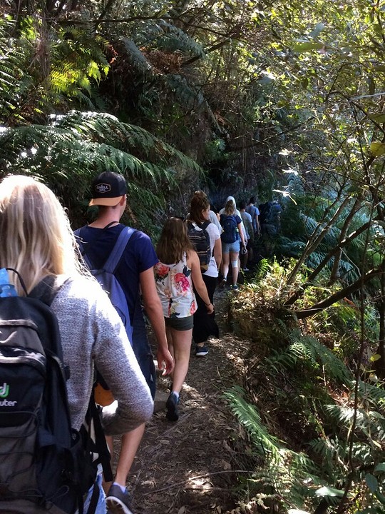 Blue Mountains hike