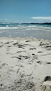 Whitehaven Beach